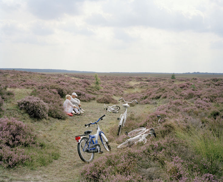 Parco Nazionale De Hoge Veluwe KröllerMüller Museum